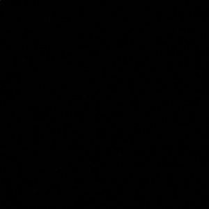 Meet your Posher, Kat